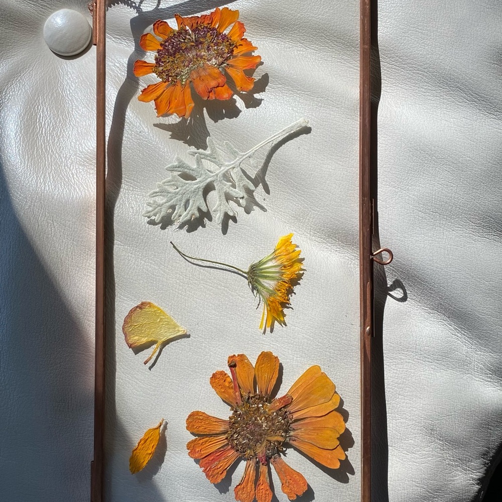 Floating into Fall~ Botanical Art - Picture 4 of 5